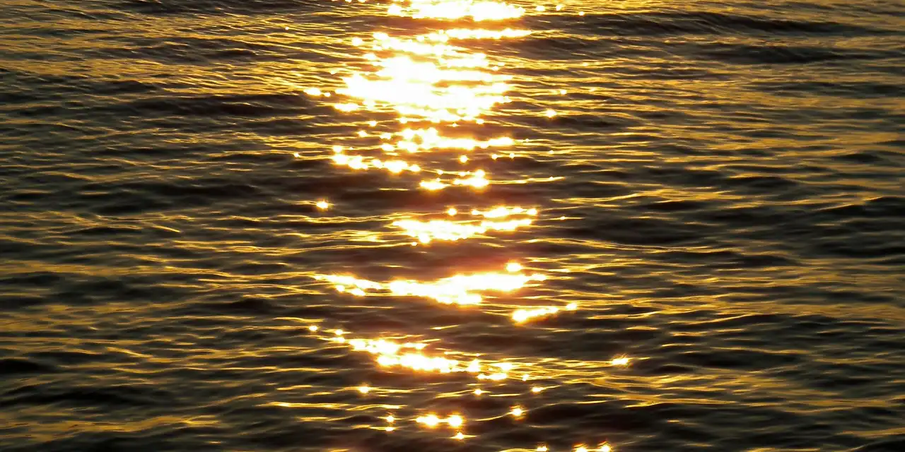 Un chemin de lumière dorée posé par le soleil bas sur une eau à peine ridée.