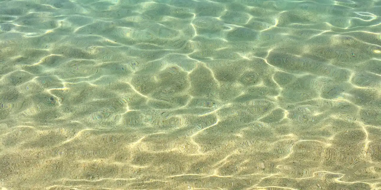 Une eau turquoise et transparente au-dessus d’un fond de sable clair.